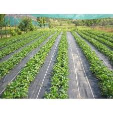 Folie Agrotextil.Densitate 100 gr/mp.Grosime 0.5 mm.Tratata UV.