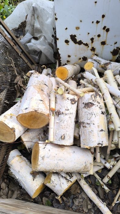 Спил деревьев кустов