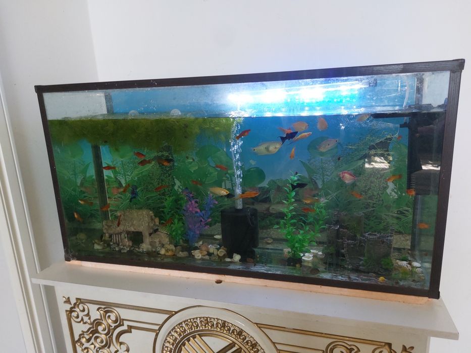 Акварюм сатылады