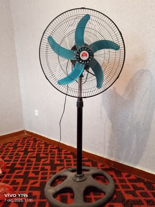 Ventilyator (vintilyator )
