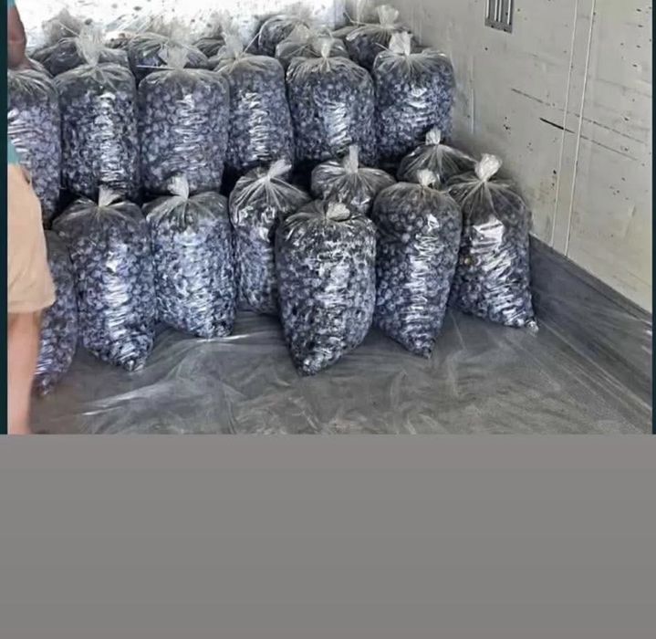 Vand prune pentru tuica ,palica