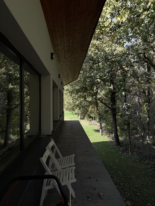 Casa la padure de inchiriat Moara Vlasiei