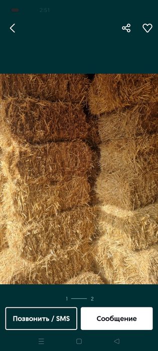 Somon Poxol pres bor