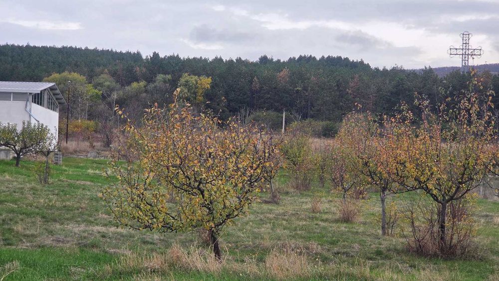 Склад од наем Нови Хан София област