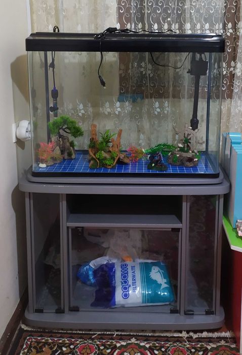 Аквариум с рыбками