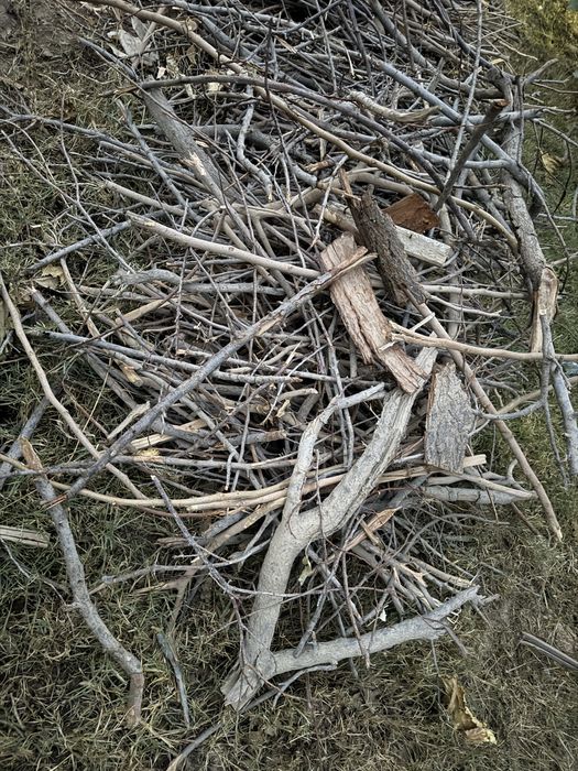 Ўтинлар сотилади ўрик дарахти ва тутдан утинлар бор нархи келишилади