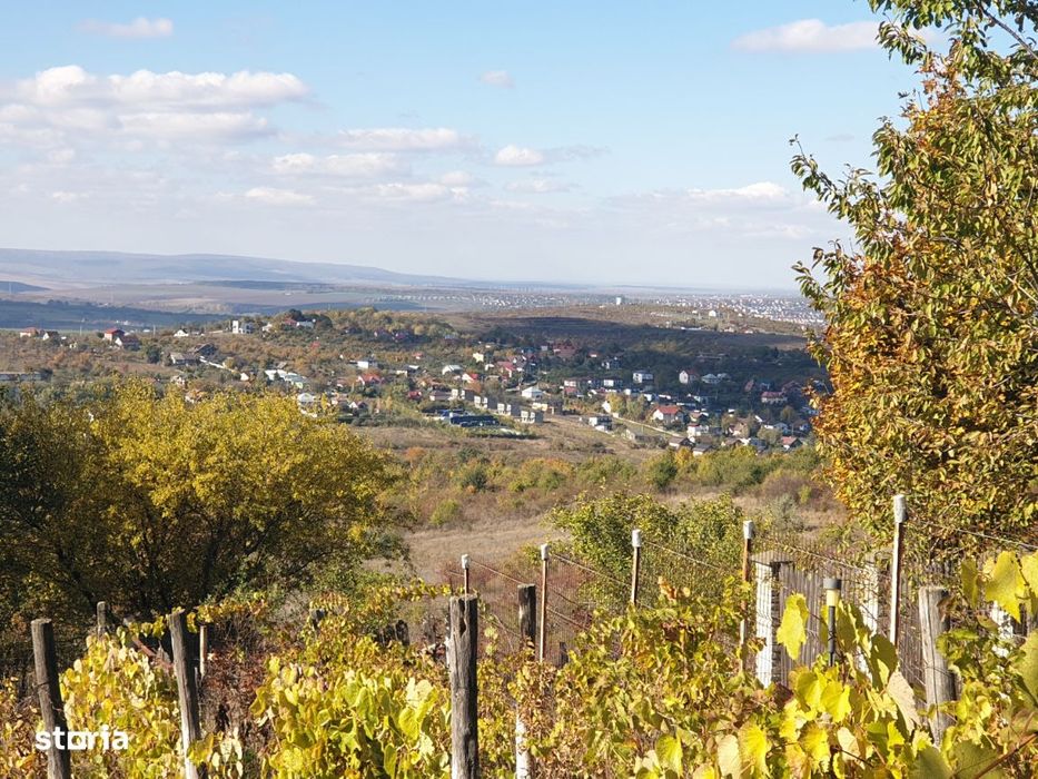 Teren intravilan ideal constructie casa - Pietraria - Barnova – IASI