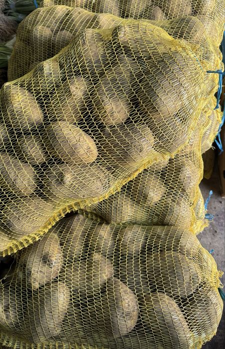 Самоковски картофи сорая