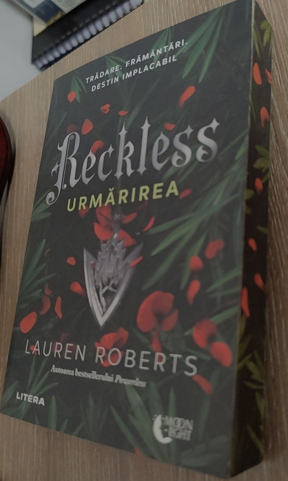 Citește Reckless o poveste captivanta care îți va schimba viața