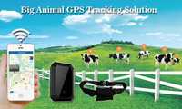 Соларен GPS за крави - тракер / tracker с БЕЗПЛАТНО проследяване