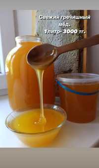 Продаём свежий мёд: 1 литр-3500тенге гречишный,подсолнух,разнотравье