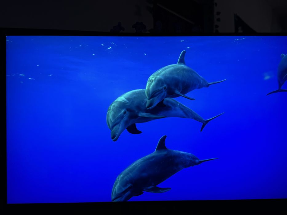 Monitor Gaming LED Nano IPS LG UltraGear 31.5"