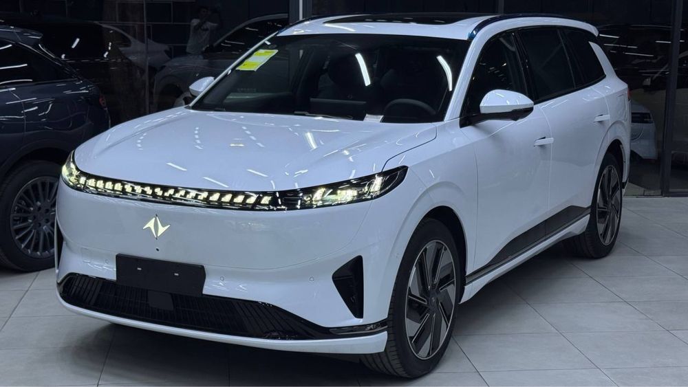 2025 DONG FENG eπ008 Max