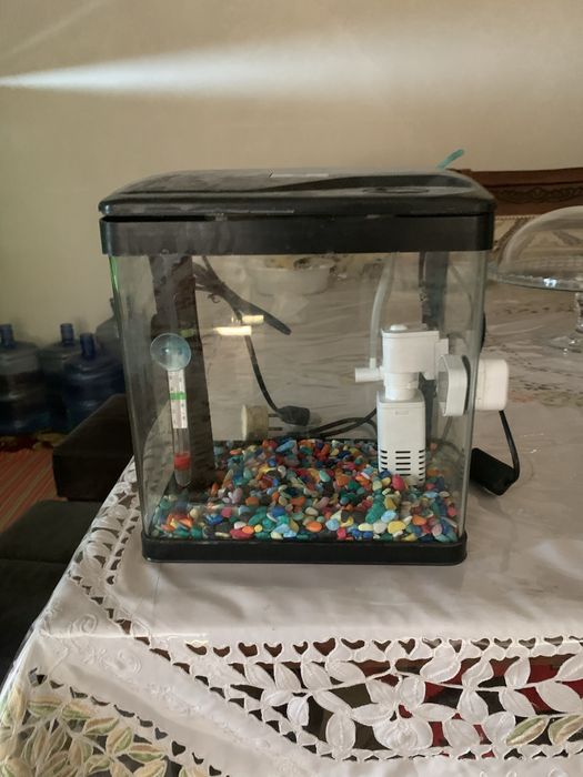 Akvarium 10 litirli