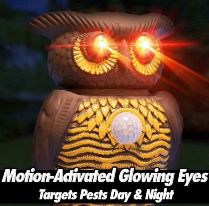 Aparat Antidaunatori Ultrasonic si senzori de miscare Owl Alert