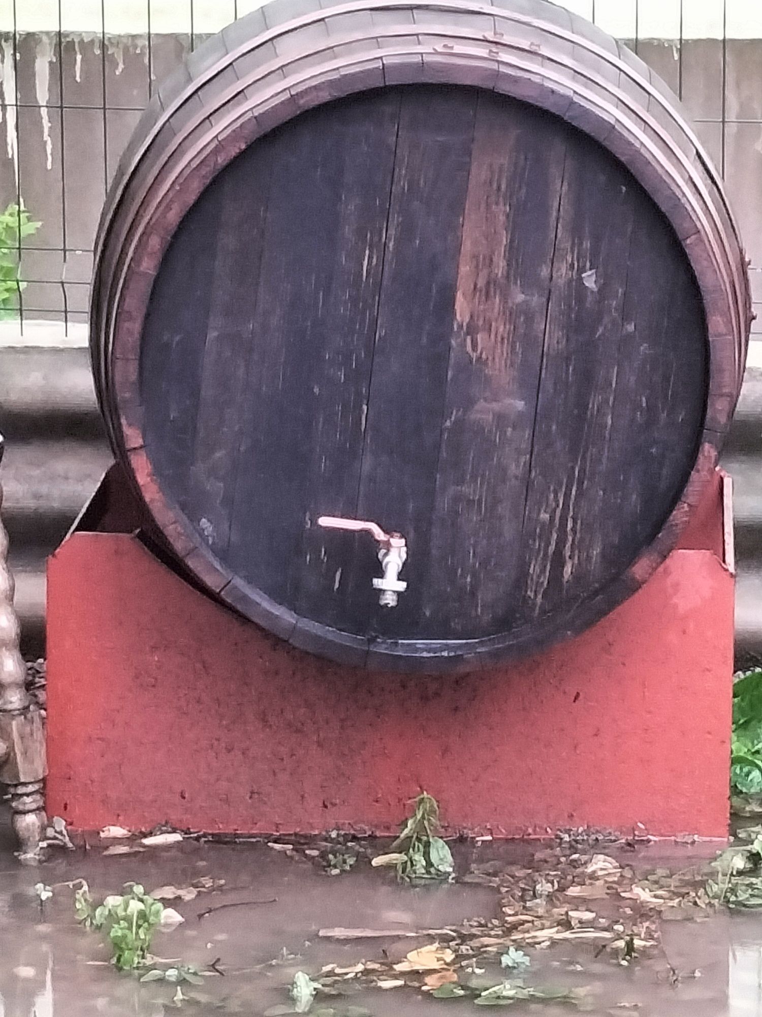 Butoi de lemn pentru vin de 350L