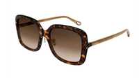 OCHELARI SOARE  Chloe CH0073SK     Havana/Brown - lentila degrade