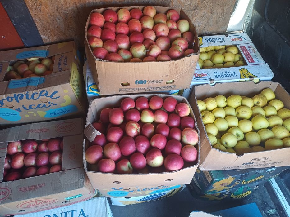 Mere gold idaret florina