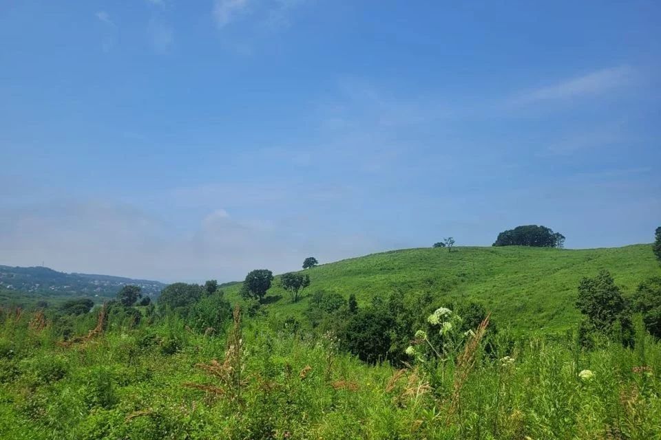 Продам пастбище 500 гектаров