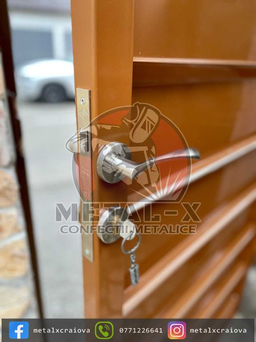 Porti, garduri finisaje premium vopsit electrostatic