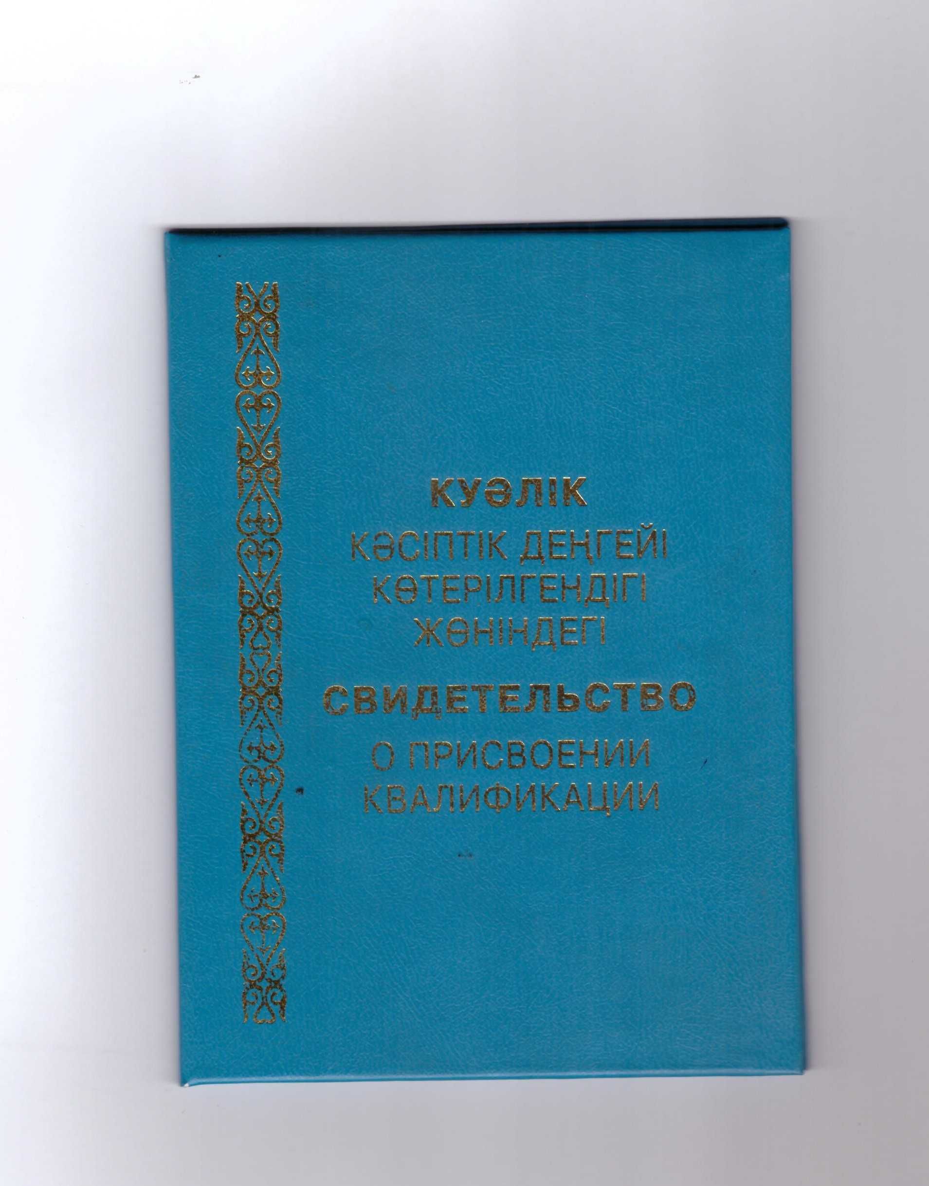 Свидетельство (47 специальностей)-воспитатель/логопед/сварщик/электрик