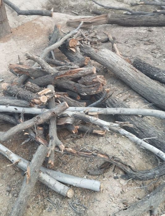 Қуруқ ўтин сотилади