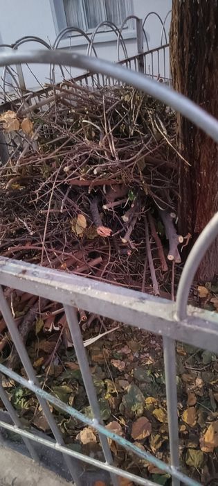 у́тин текин бесплатно