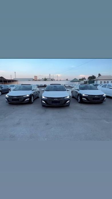 Rent a car / Avto Prakat