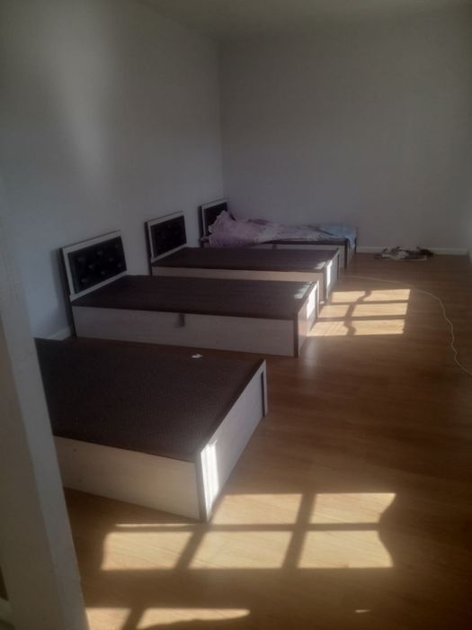 Хасанбой. Алфраганус. Олдида