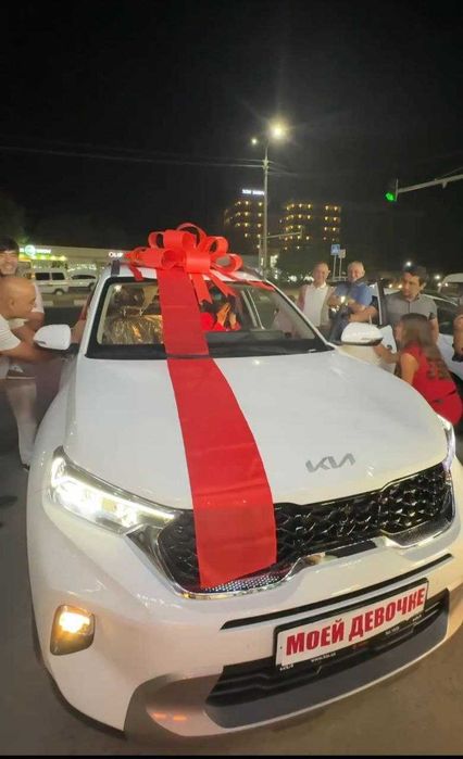 Bantik,lenta,бант,мошинага BYD han, спарк, тесла