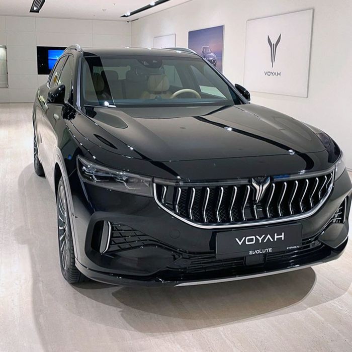Voyah Free Hybrid 318km 4WD