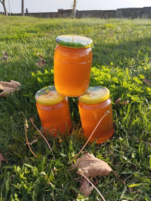 Билков пчелен мед