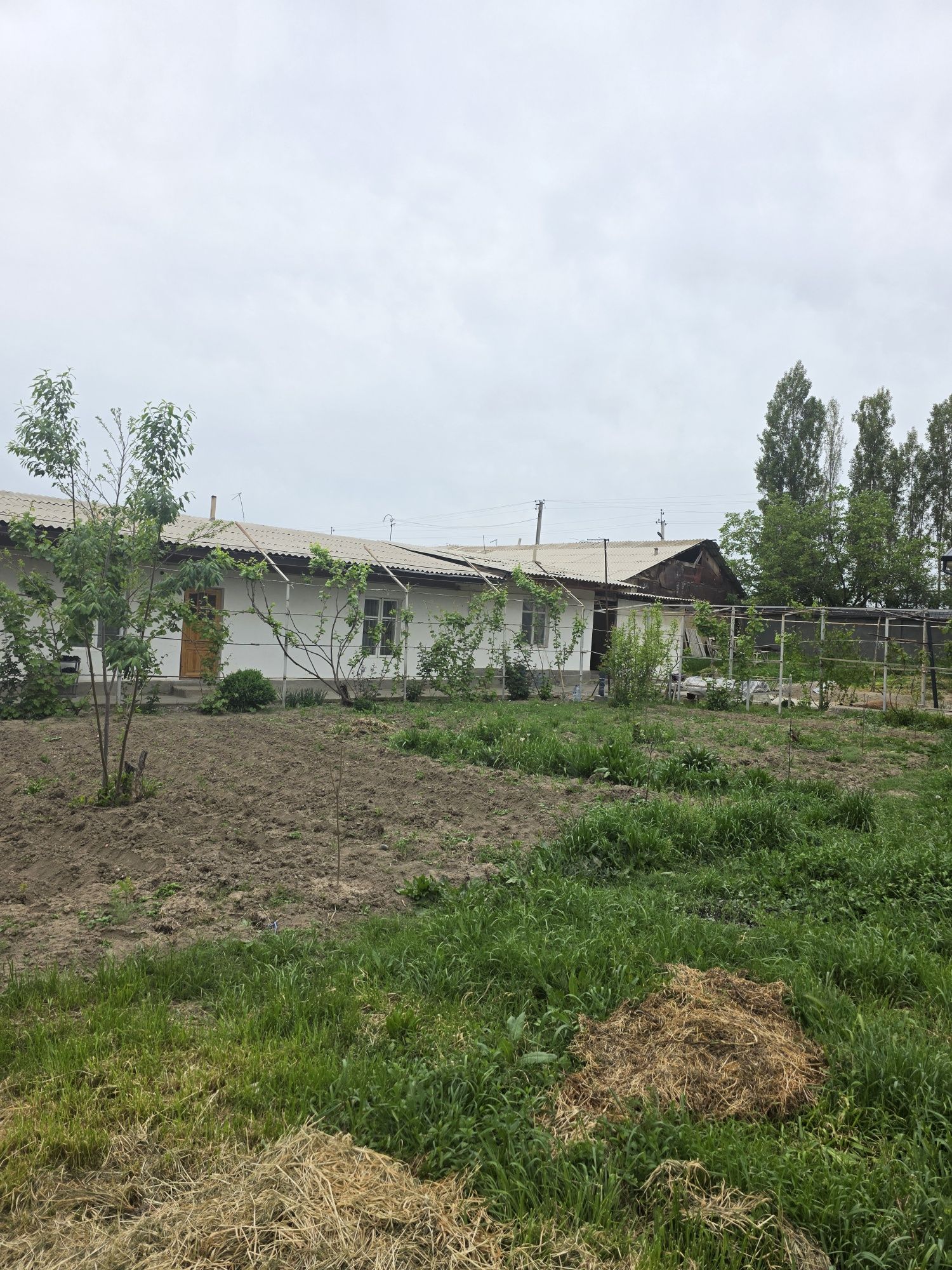 Кибрай тумани Бурота махалласида 12 сотихли ер участкаси сотилади.