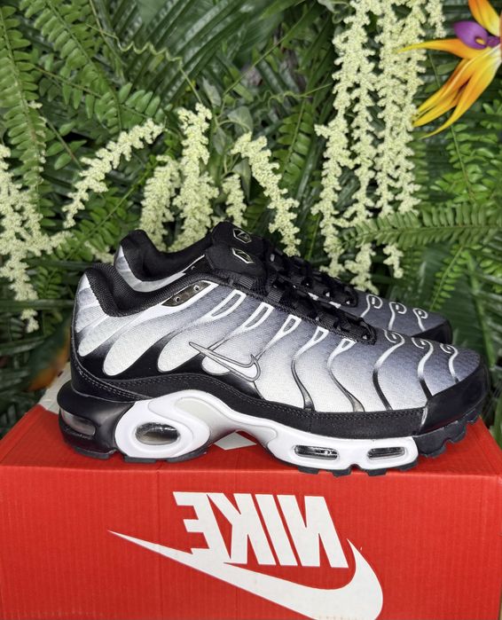 Nike Air Max Plus TN Black Silver