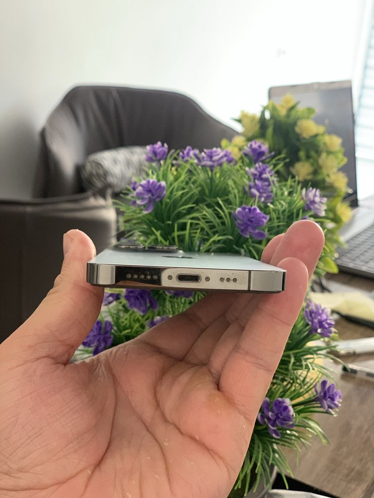iPhone 13 Pro ( Graphite )