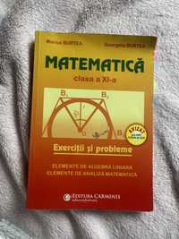 manual matematica clasa a 11 a