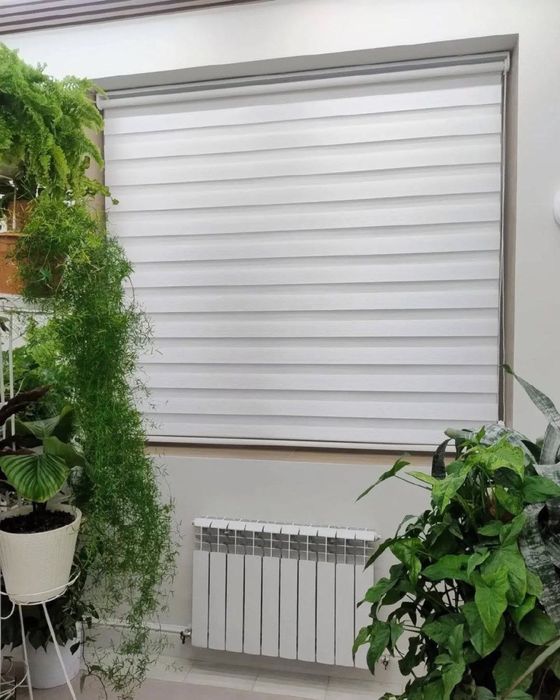 ЖАЛЮЗИ жалюзи жалюзи жалюзи жалюзи жалюзи жалюзи жалюзи жалюзи жалюзи