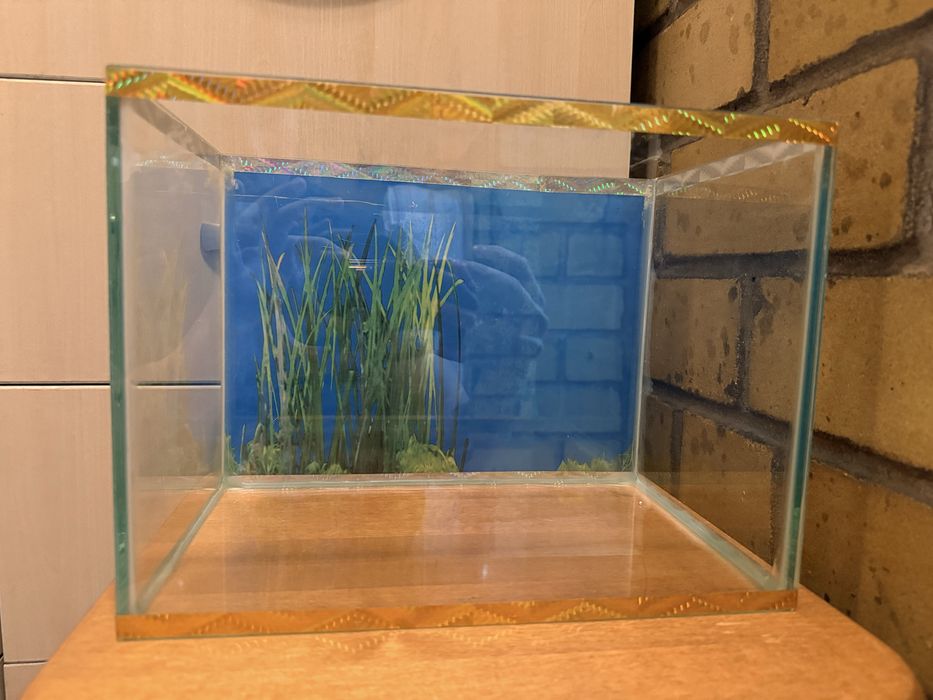 Аквариум 13 литров
