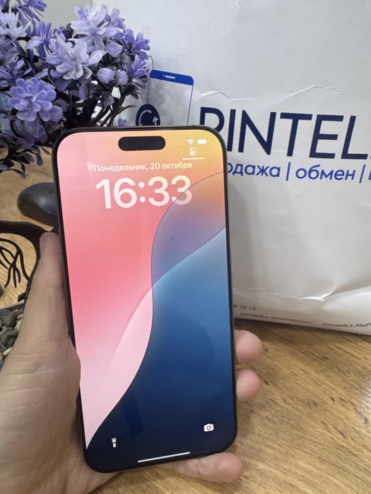 Ip 16 pro max 256gb 100%