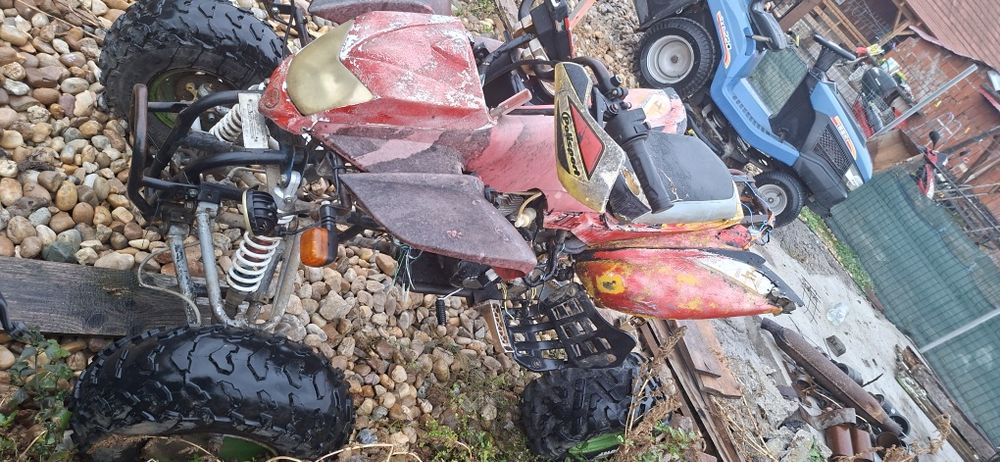 De vanzare bashan 250