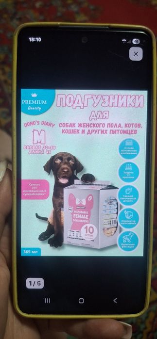 Памперсы для собак