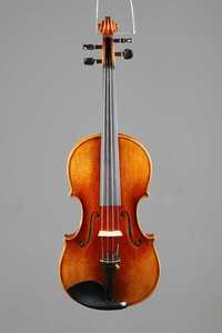 Музикални инструменти цигулка