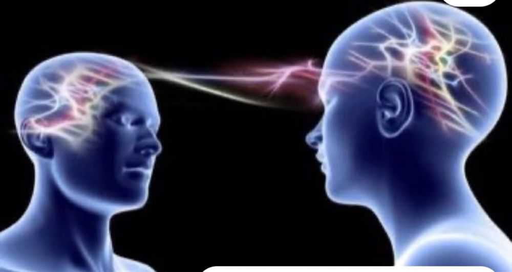 Engleza,55ron,pret special