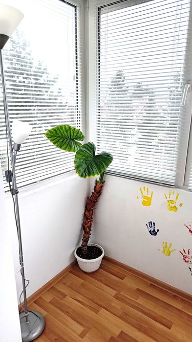 Proprietar, vand Apartament 2 camere, 40mp, Brasov