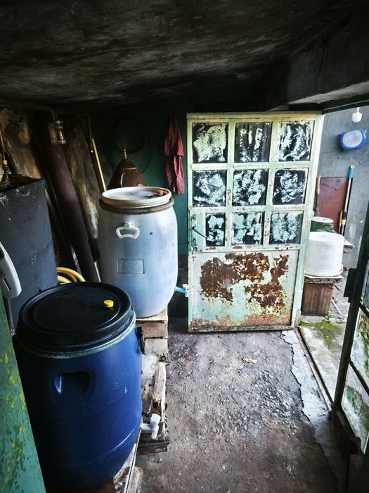 Продавам лозе с постройка