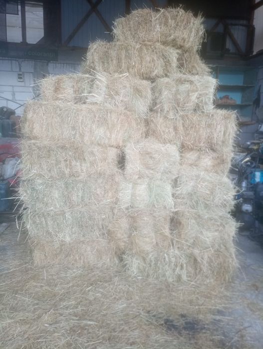 Vând baloți de orz și fân