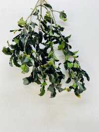 Plante decorative stabilizate | 35 cm lungime