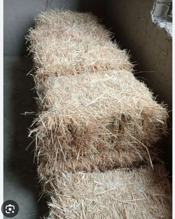 Somon pres lombok mol uchun