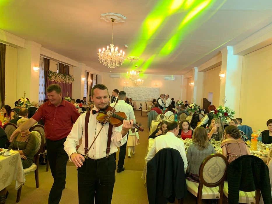 Cvartet (quartet) vioara solo Evenimente