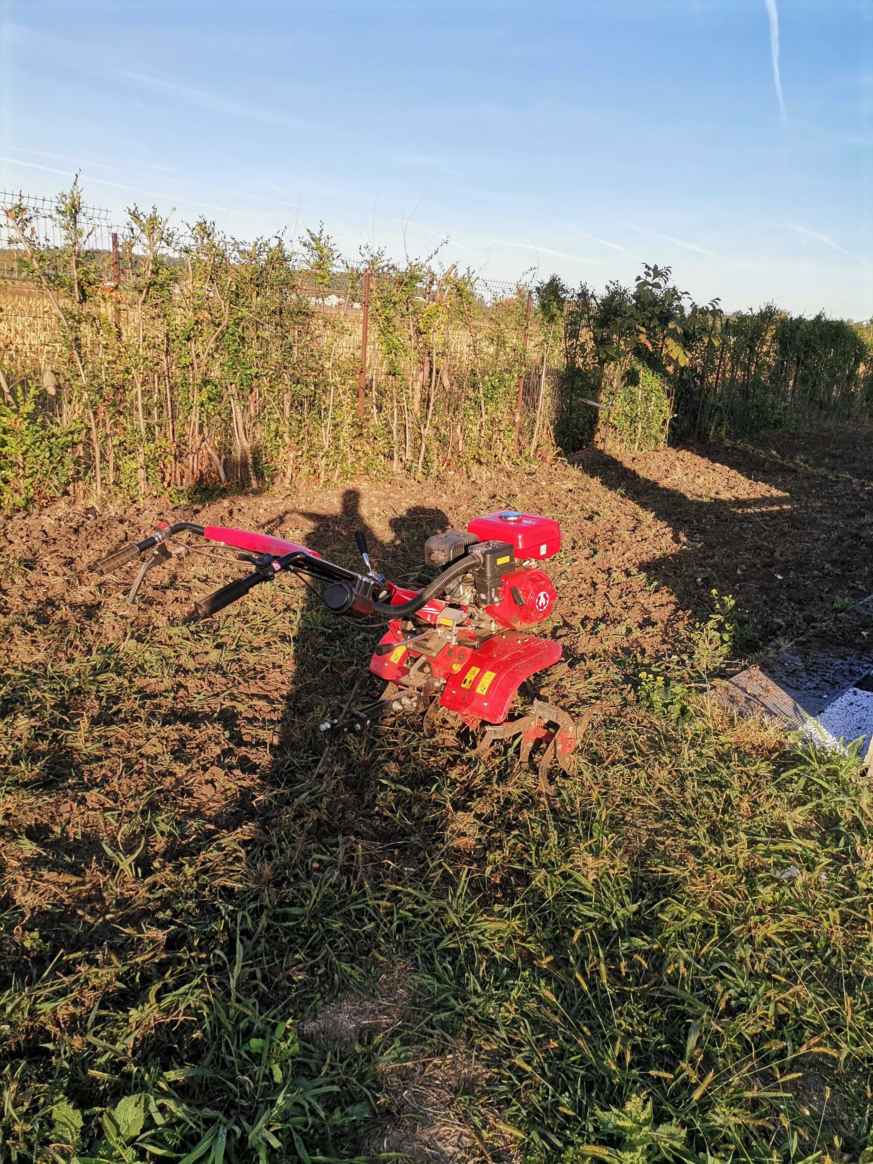 Tundem gazon iarbă buruieni lăstăriș ierbicidăm